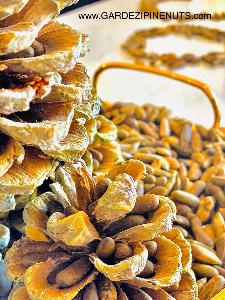 Chilgoza from Afghanistan