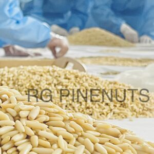 Does Afghanistan Produce Pine Nuts?