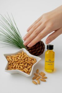 pine nut tree