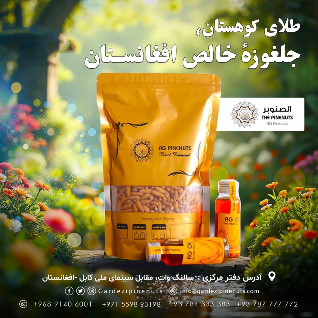 Afghan pine nuts1