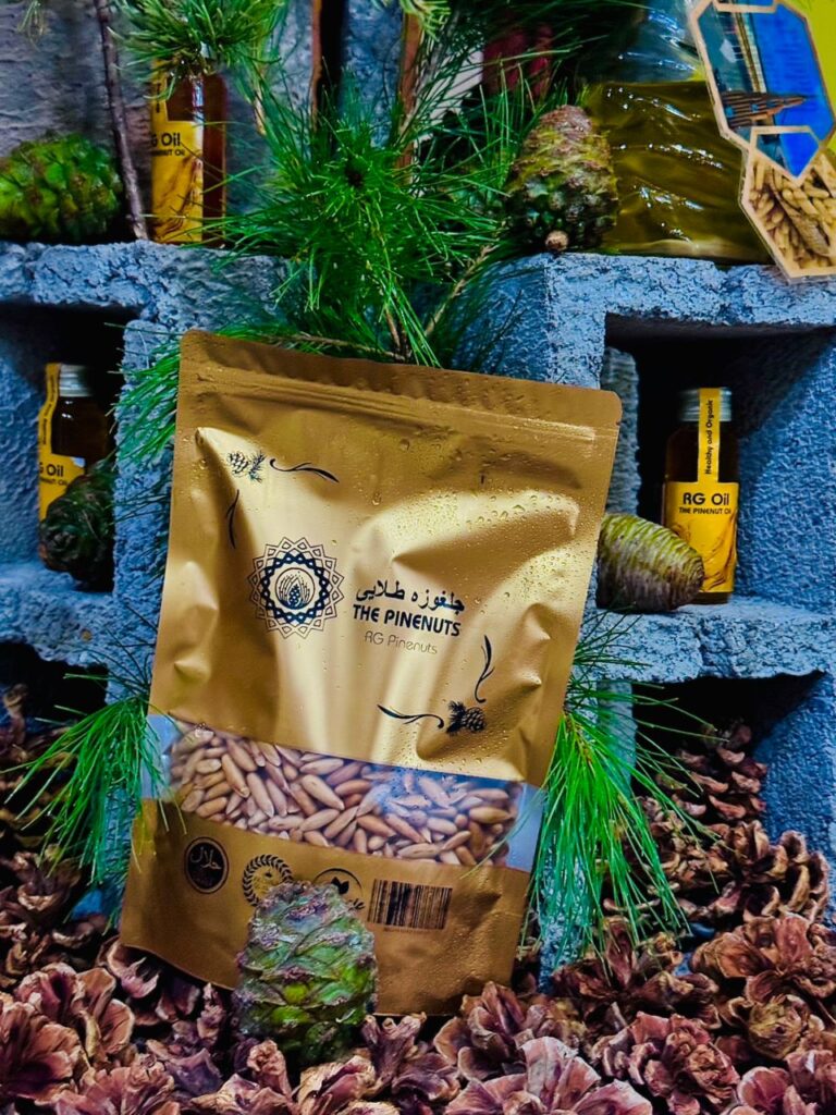 where do pine nuts come from1