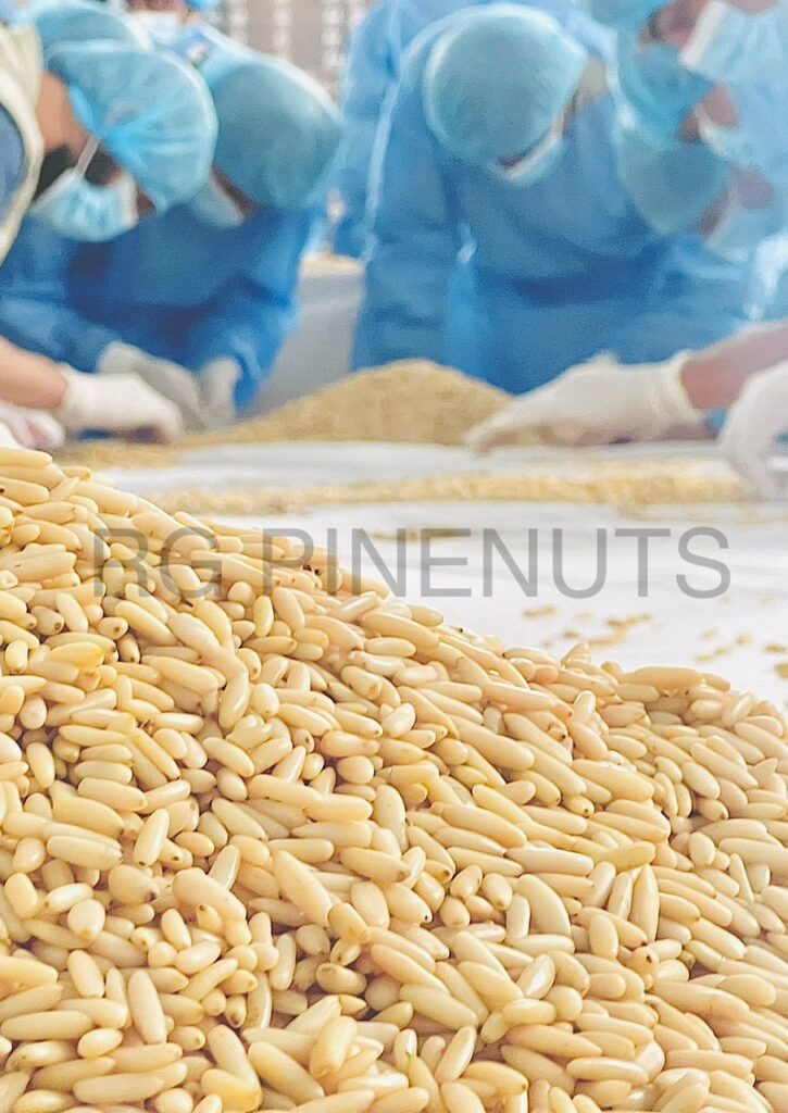 pine nut nutrition ..