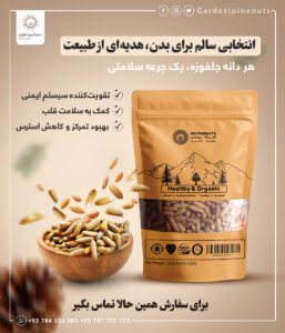 Afghanistan Pine nut