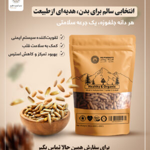 Golden inshell Pinenuts "Roasted"