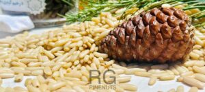 Raw pine nuts