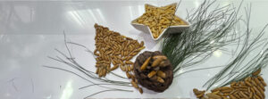 Antioxidant-rich nuts