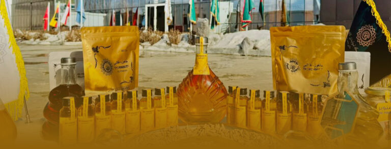 Chilgoza from Afghanistan-1