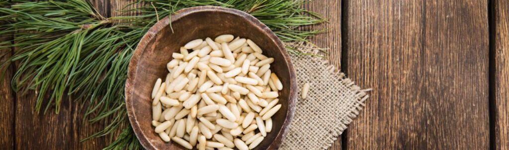 Raw pine nuts1