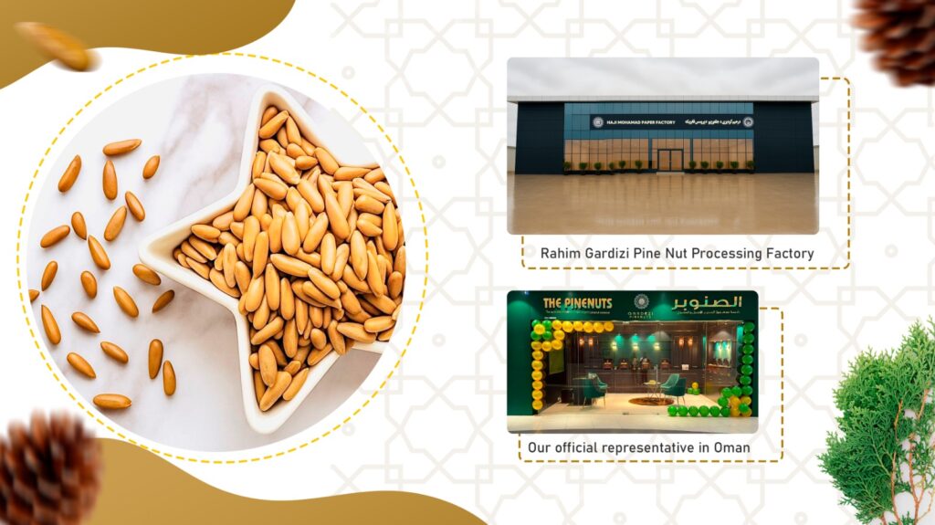 Wild pine nuts1