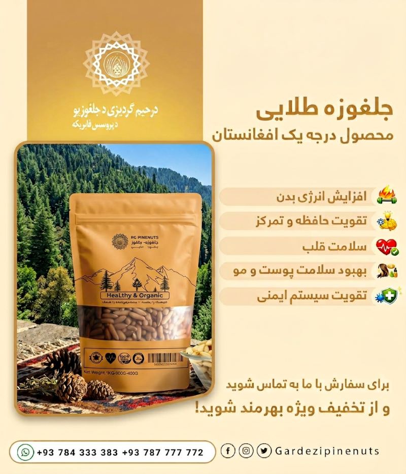 where to buy premium pine nuts-1
