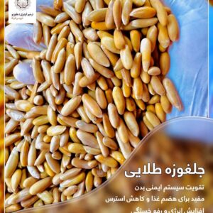 Raw pine nuts
