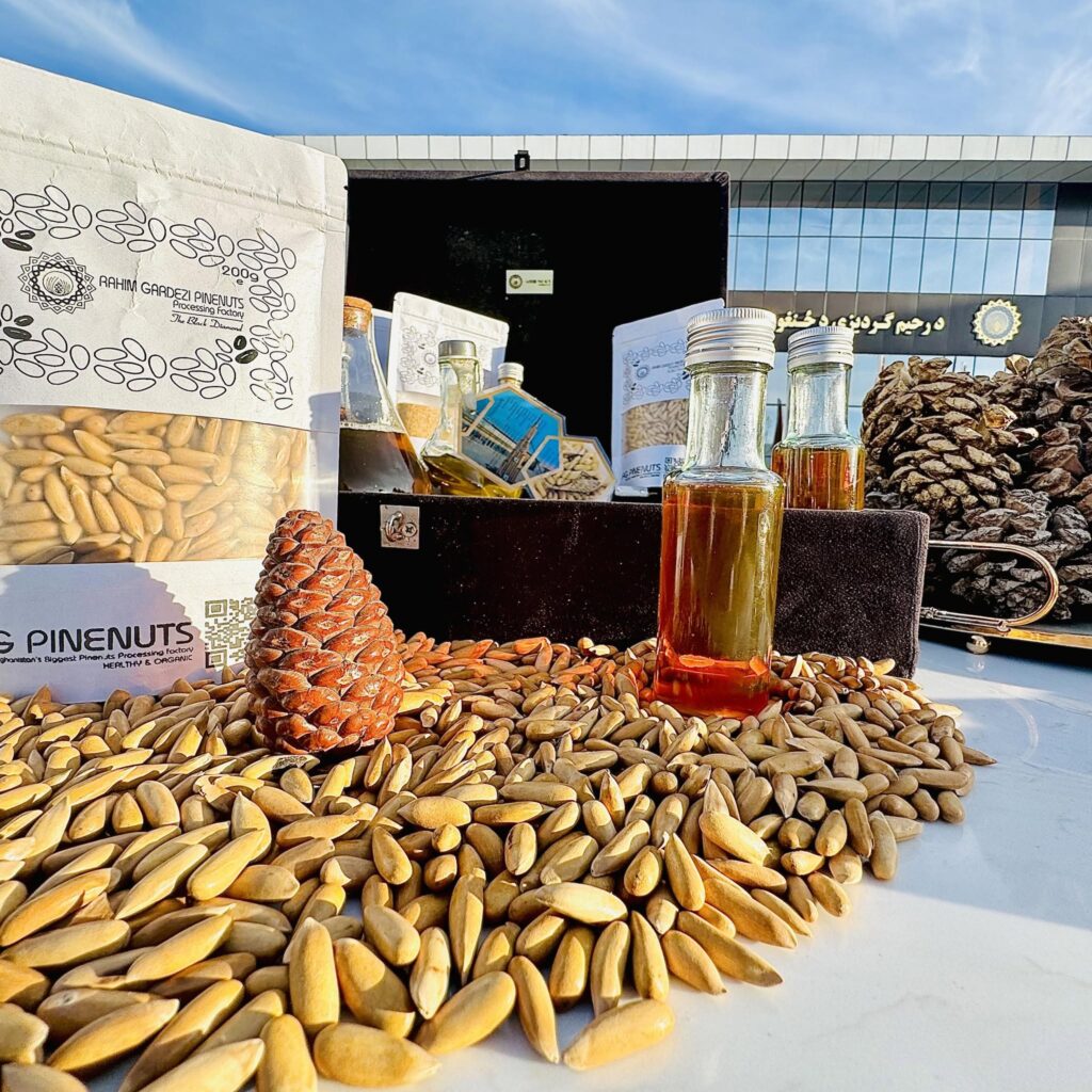 pine nut Afghanistan