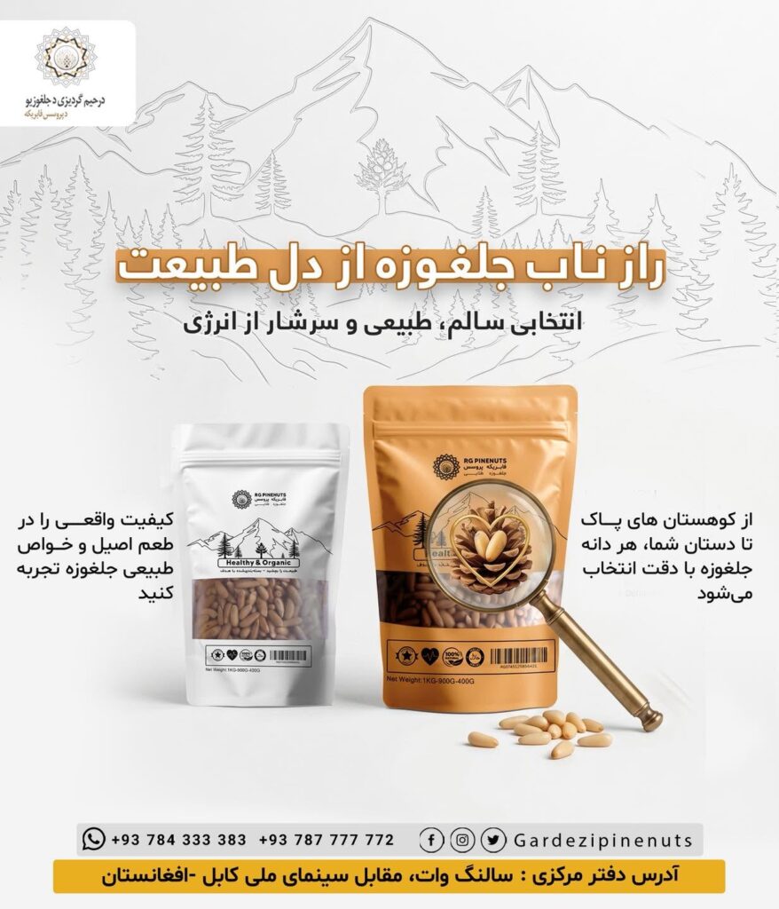 pine nut Afghanistan1