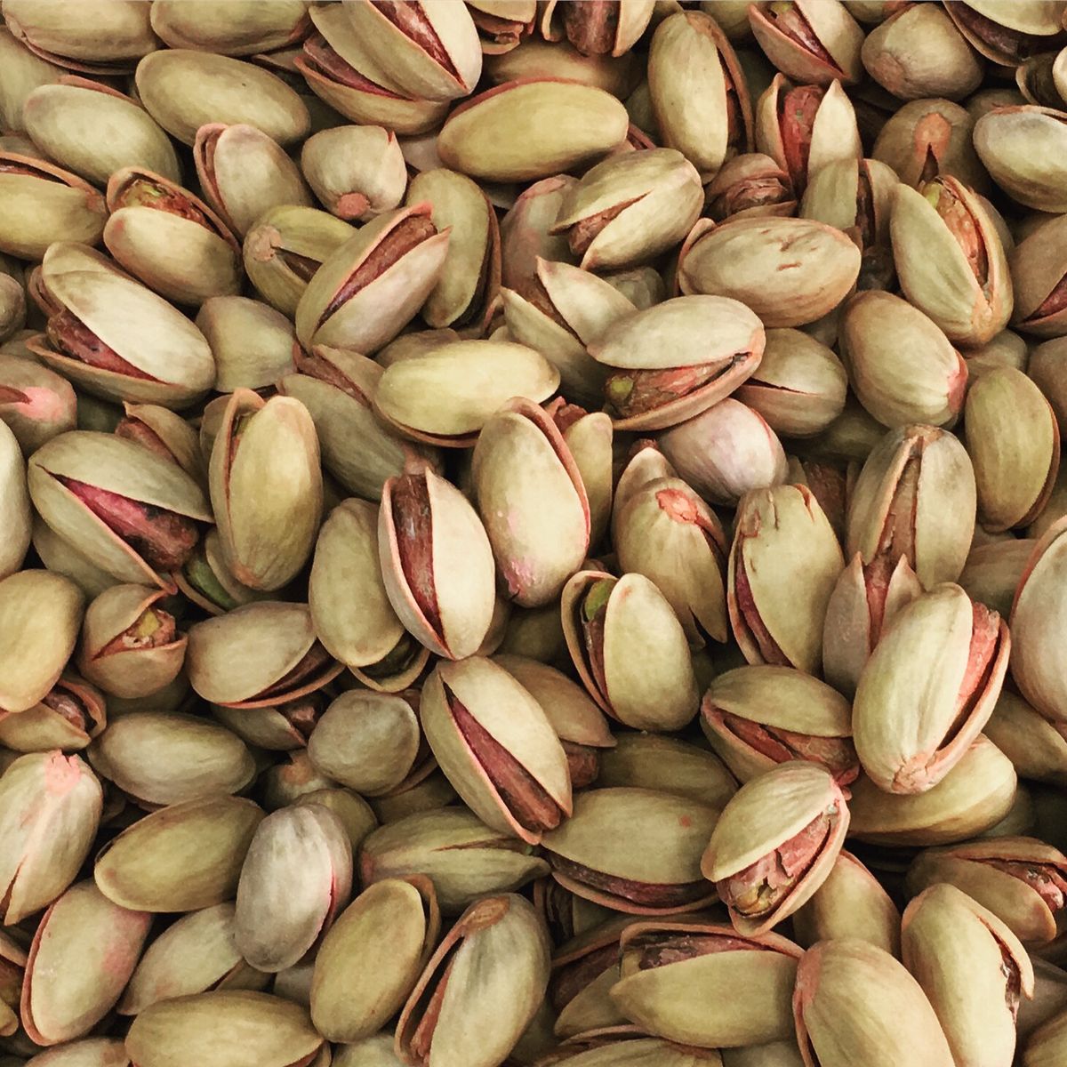 Premium Organic Roasted Pistachios - Image 3