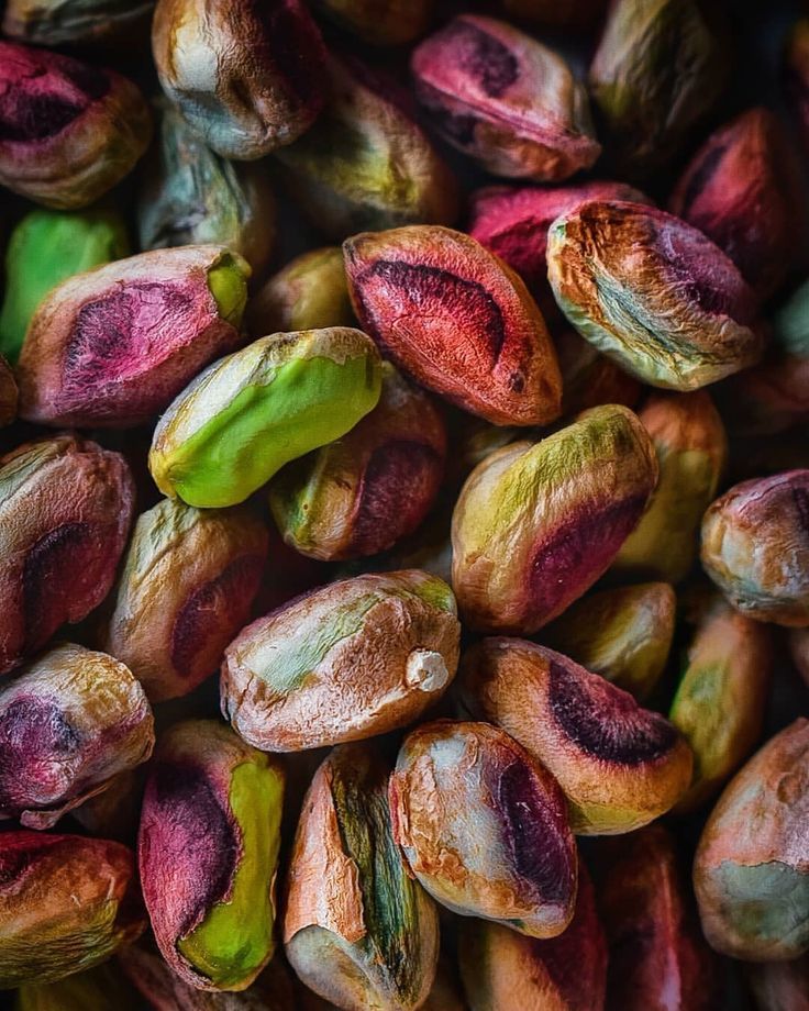 Premium Natural Shelled Pistachio Kernels - Image 3
