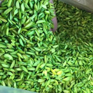 pine nuts kernel