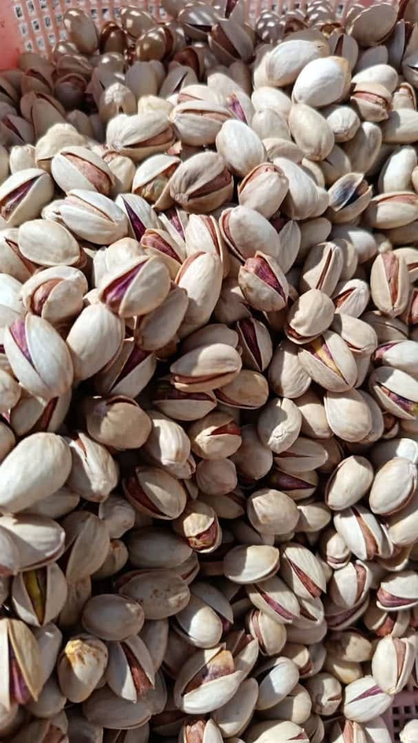 Roasted Pistachios - Image 3