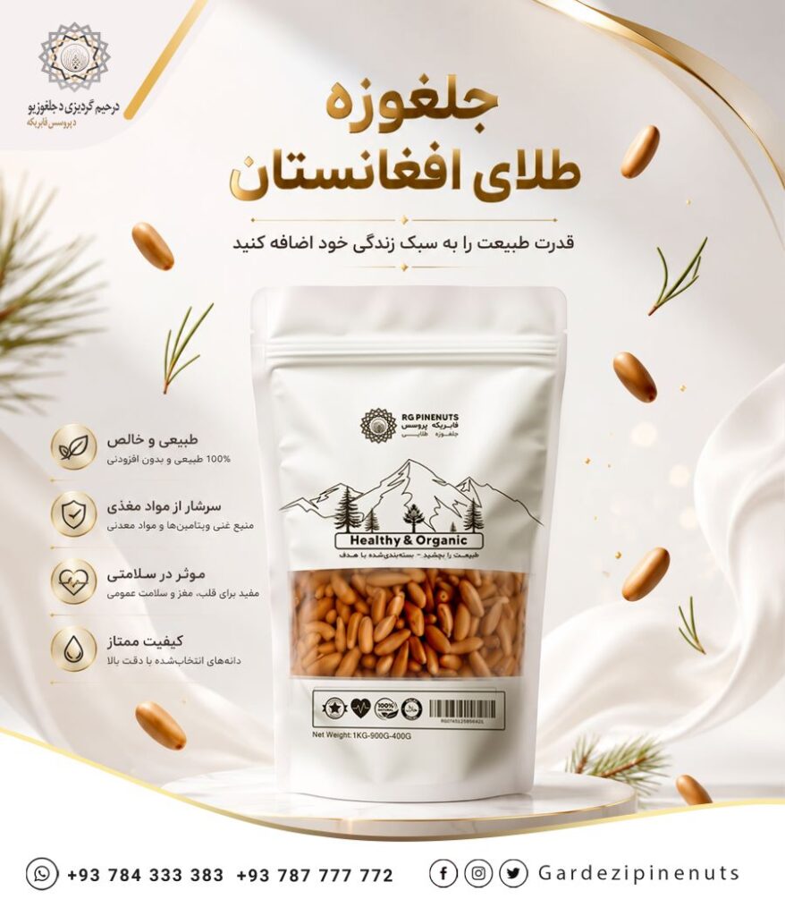 Pine Nuts from Gardizi Nuts | Pine Nuts of Afghanistan-1