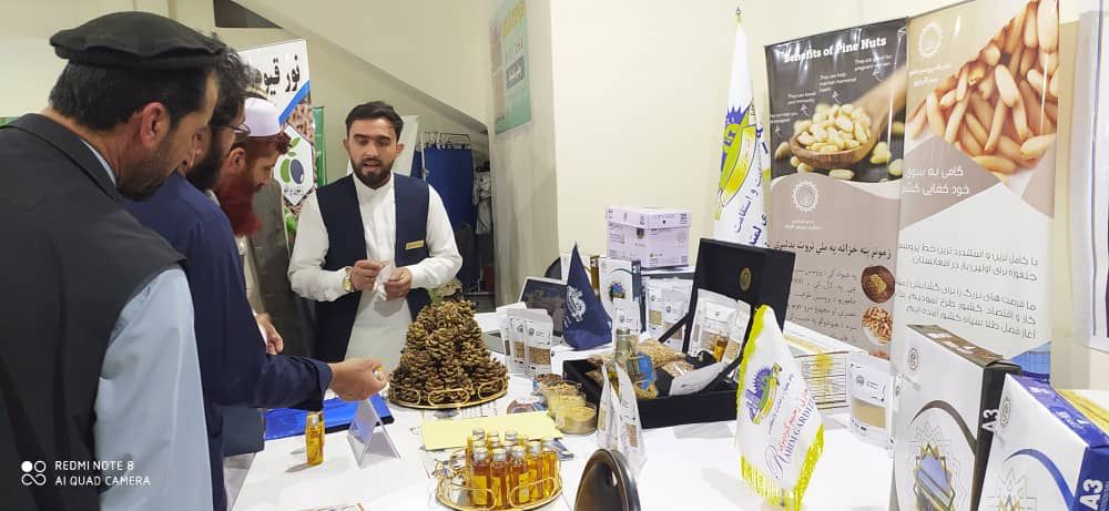 Afghan pine nut export company