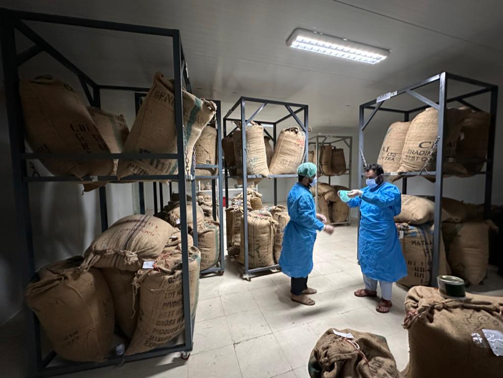 Afghan pine nuts supplier