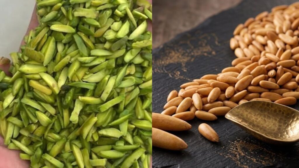 Pine nut vs Pistachio-1