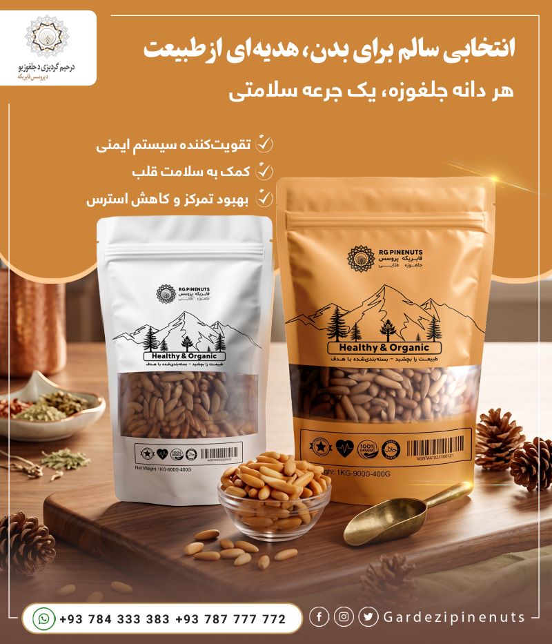 Pine Nuts from Gardizi Nuts | Pine Nuts of Afghanistan