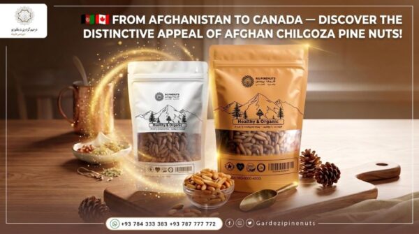 Afghan pine nuts canada-1