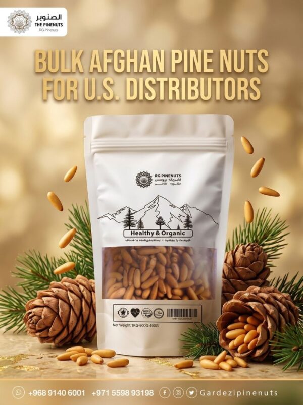 Bulk Afghan pine nuts for U.S. distributors-1