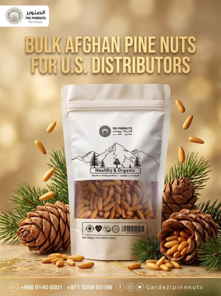 Bulk Afghan pine nuts for U.S. distributors-1